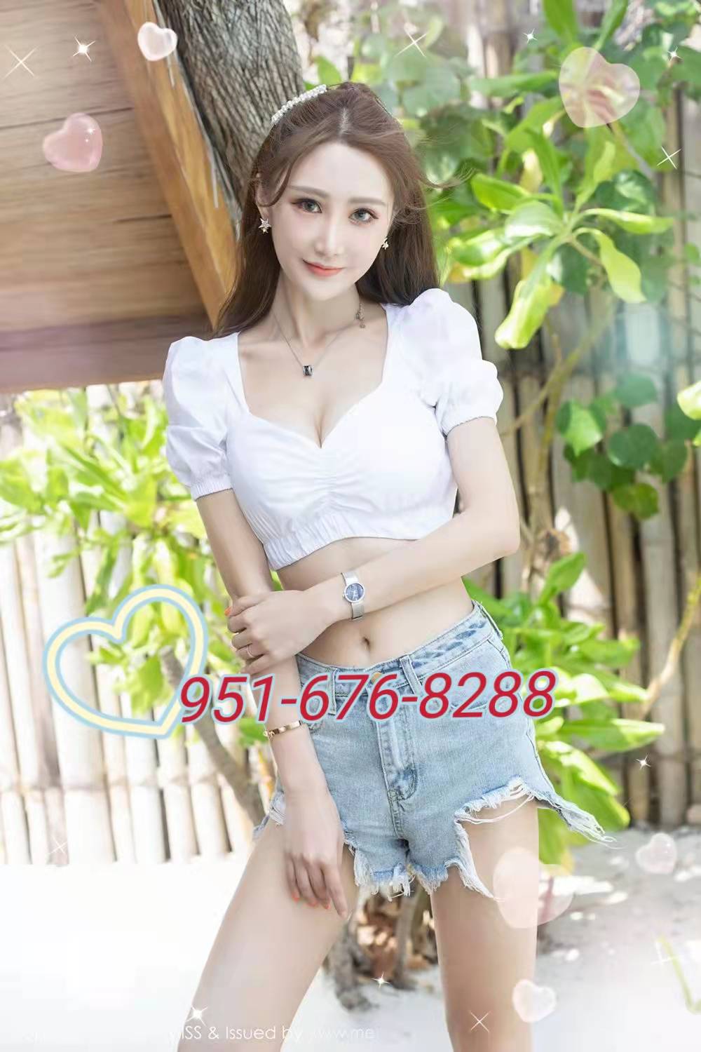 951-676-8288 1