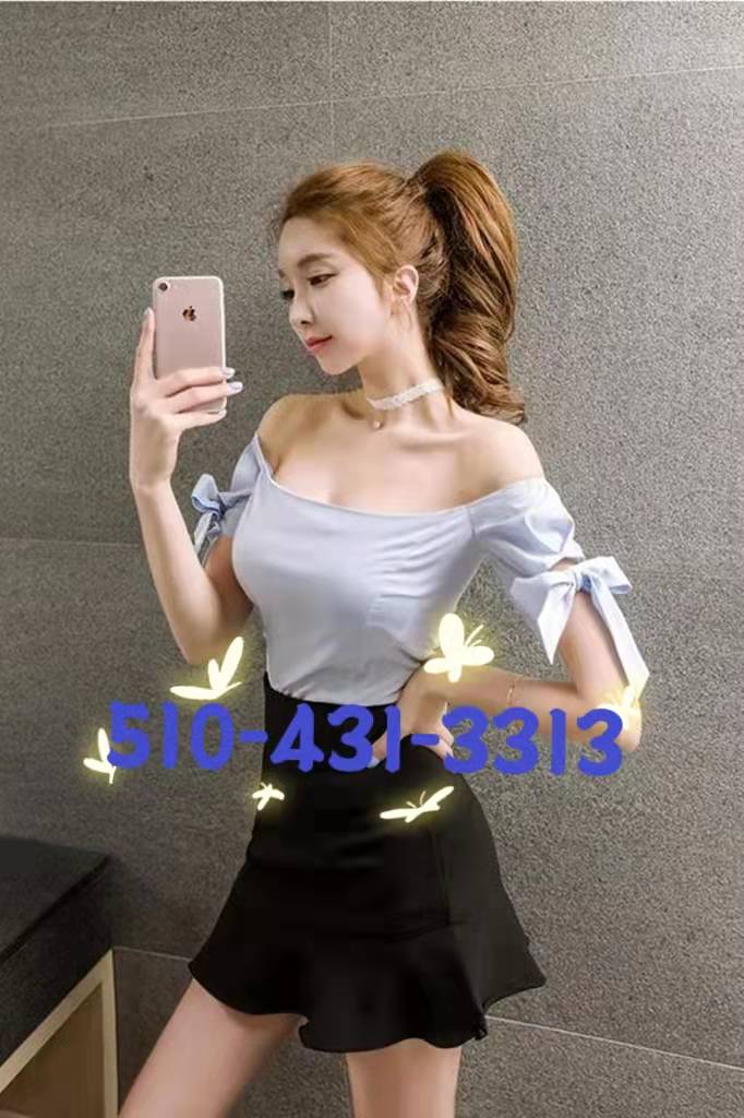 %28510%29431-3313 1