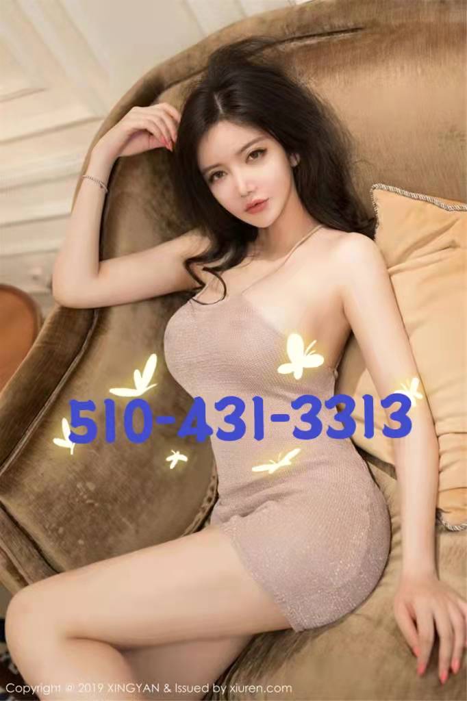 %28510%29431-3313 1