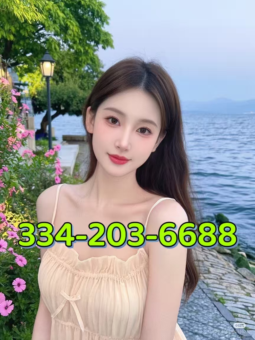 334-203-6688 1