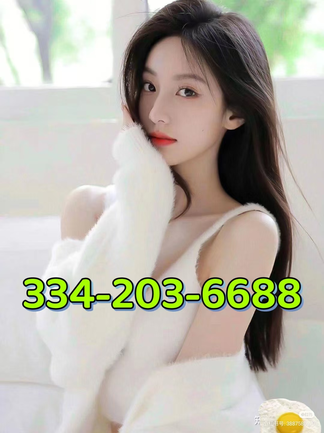 334-203-6688 1
