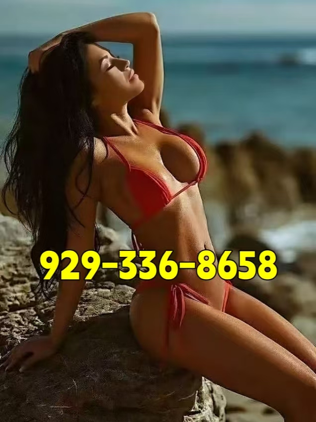 929-336-8658